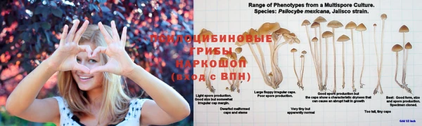 гашиш Белоозёрский
