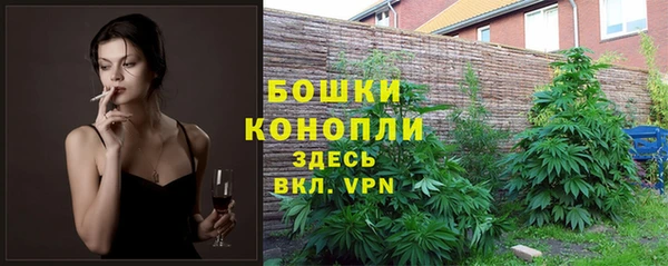 тгк Беломорск