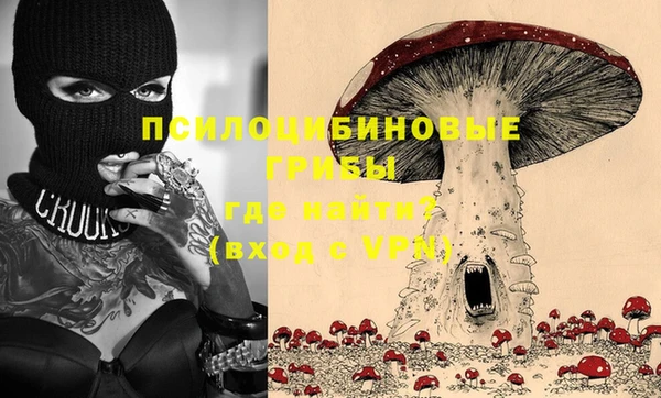 2c-b Белокуриха