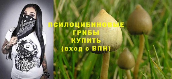 2c-b Белокуриха